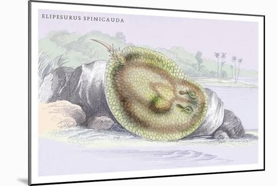 Elipersurus Spinicauda-Robert Hermann Schomburgk-Mounted Art Print