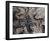 Eliptical Illusion-Farrell Douglass-Framed Giclee Print