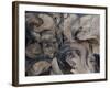 Eliptical Illusion-Farrell Douglass-Framed Giclee Print
