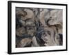 Eliptical Illusion-Farrell Douglass-Framed Giclee Print