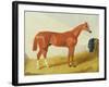 Elis, 1836 (Oil on Panel)-John Frederick Herring Snr-Framed Giclee Print