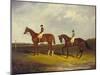 Elis' with J. Day Up, and 'Bay Middleton' with J. Robinson Up-David of York Dalby-Mounted Giclee Print