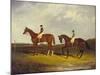 Elis' with J. Day Up: Winner of the St. Ledger, 1836 and 'Bay Middleton' with J. Robinson Up: the…-David Dalby of York-Mounted Giclee Print