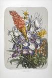 A Bouquet Of Flowers Including Irises-Elisa Champin-Giclee Print