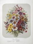 A Bouquet Of Flowers-Elisa Champin-Framed Stretched Canvas