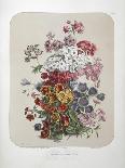 A Bouquet Of Flowers-Elisa Champin-Framed Stretched Canvas