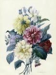 Mixed Dahlias, 1840-Elisa-Emilie Lemire-Stretched Canvas