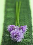 Flowering Chives-Elisabeth Cölfen-Mounted Photographic Print