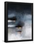 Essential Black