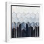 White Frame