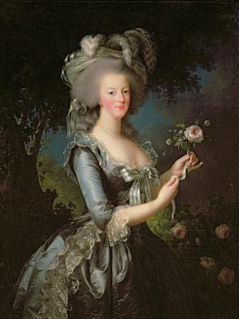 Marie Antoinette (1755-93) with a Rose, 1783