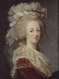 Marie-Antoinette, reine de France (1755-1793)-Elisabeth Louise Vigée-LeBrun-Giclee Print