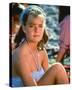 Elisabeth Shue-null-Stretched Canvas