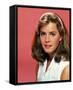 Elisabeth Shue-null-Framed Stretched Canvas