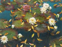 Lily Pad II-Elise Lunden-Giclee Print