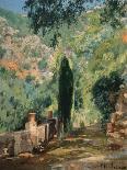 Garden-Eliseo Meifren-Mounted Giclee Print