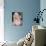 Elisha Cuthbert-null-Photo displayed on a wall