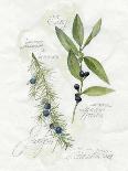 Bay Leaf and Juniper-Elissa Della-piana-Art Print