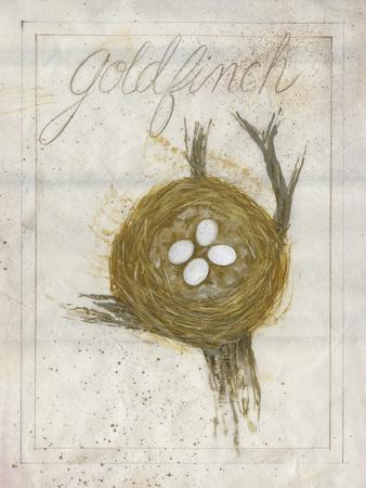 Nest - Goldfinch