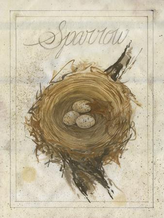 Nest - Sparrow