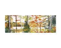 Cooper Sunset Birches-Elissa Gore-Art Print