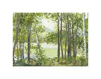 Cooper Sunset Birches-Elissa Gore-Art Print