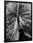 Gramercy Black
