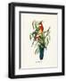 Chelsea Black
