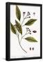 Essential Black