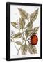 Essential Black