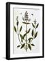 Black Frame