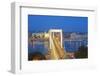 Elizabeth Bridge, Banks of the Danube, UNESCO World Heritage Site, Budapest, Hungary, Europe-Christian Kober-Framed Photographic Print