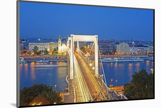 Elizabeth Bridge, Banks of the Danube, UNESCO World Heritage Site, Budapest, Hungary, Europe-Christian Kober-Mounted Photographic Print