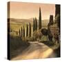 Stretched Canvas