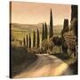 Stretched Canvas