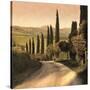 Stretched Canvas