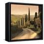 Canvas Black