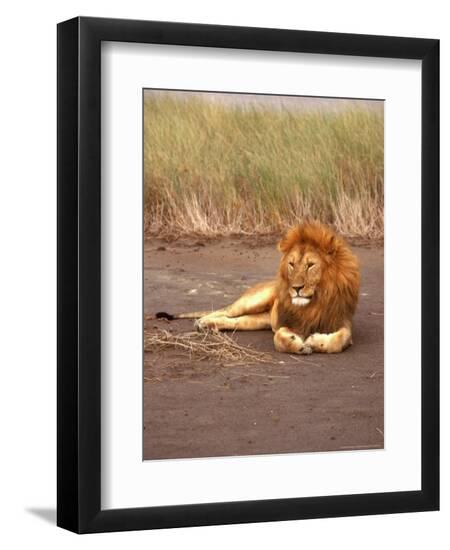 Photographic Print, , large