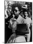 Elizabeth Eckford Is Harassed as She Enters Little Rock Central High, Sept 6, 1957-null-Mounted Photo