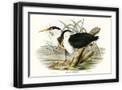 Black Frame