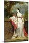 Elizabeth Gunning, Duchess of Hamilton and Duchess of Argyll, c.1760-Sir Joshua Reynolds-Mounted Giclee Print