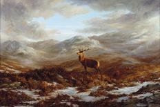 Valley of the Stags-Elizabeth Halstead-Stretched Canvas