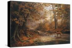 Woodland Stream-Elizabeth Halstead-Stretched Canvas