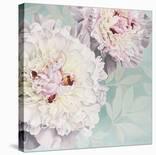 Vintage Rose-Elizabeth Hellman-Stretched Canvas