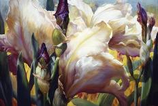 Tulip Trio-Elizabeth Horning-Framed Giclee Print