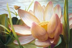 Lotus Landing-Elizabeth Horning-Giclee Print