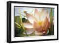 Black Frame