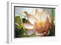 White Frame