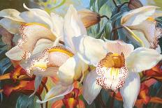 Tulip Trio-Elizabeth Horning-Giclee Print