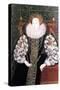 Elizabeth I, Queen of England and Ireland, 1558-1603-null-Stretched Canvas